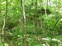 Hood's Branch Trail (5)
